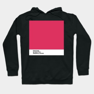 pantone 18-2043 TCX Raspberry Sorbet Hoodie